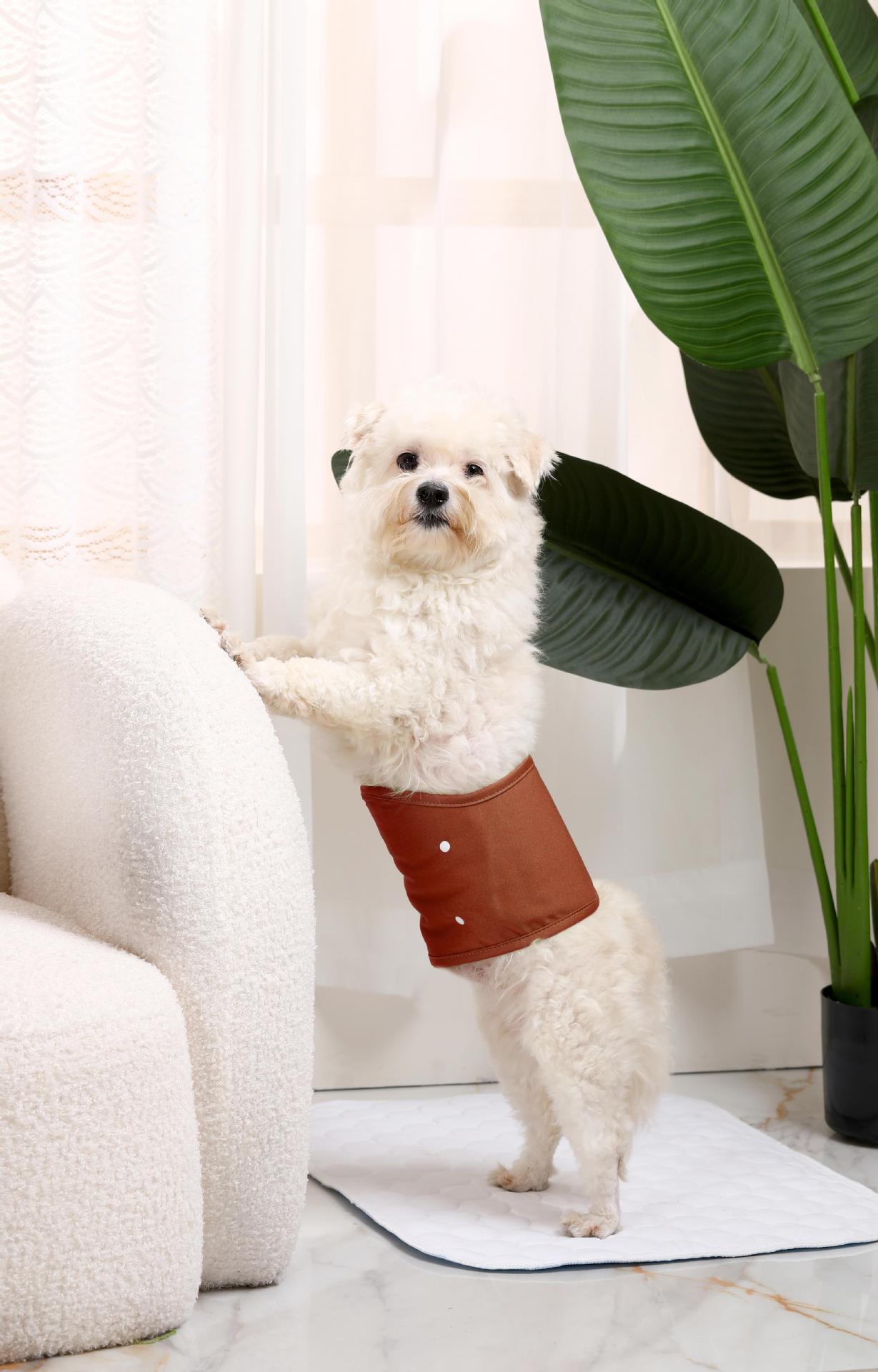 Replaceable Pet Diapers