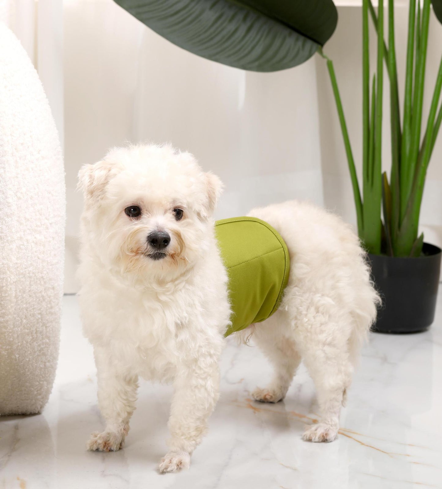 Replaceable Pet Diapers