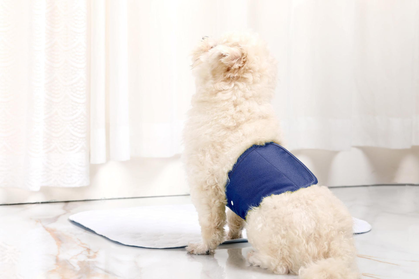 Replaceable Pet Diapers