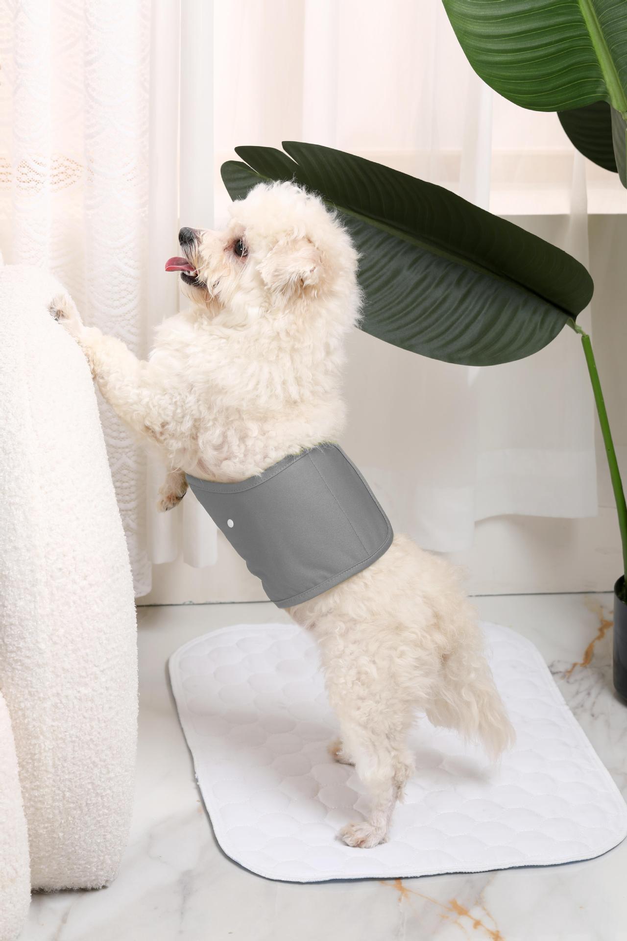 Replaceable Pet Diapers