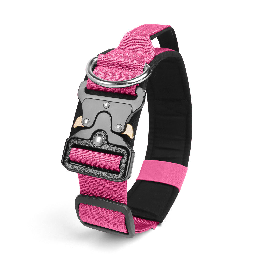 Pet Collar