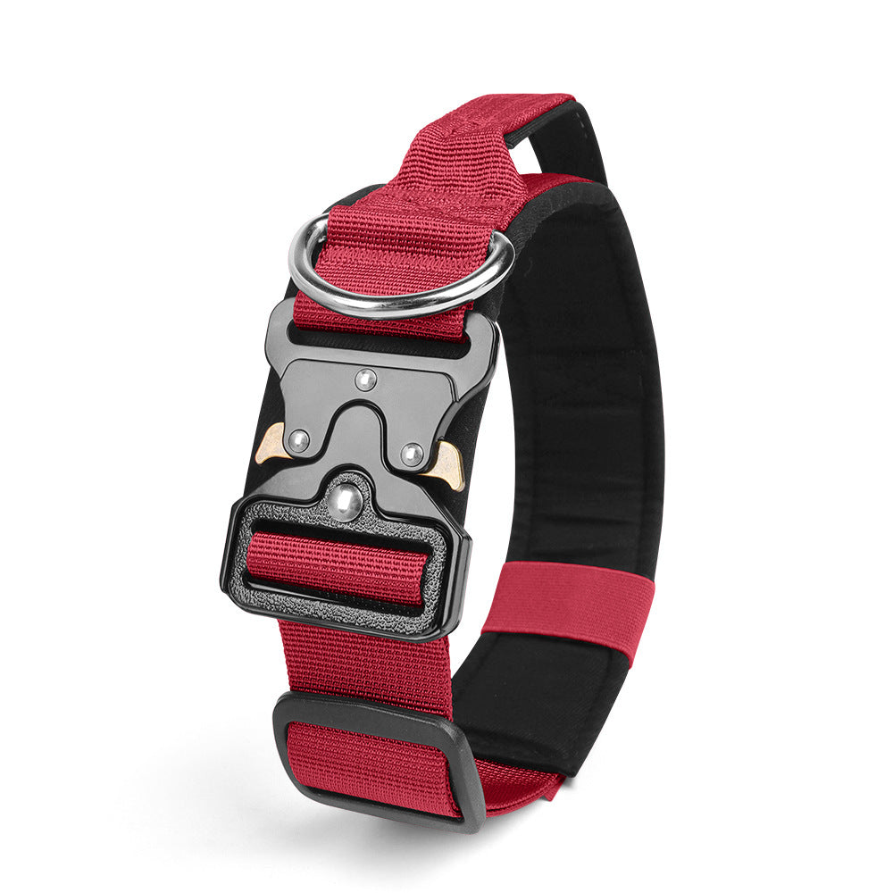 Pet Collar