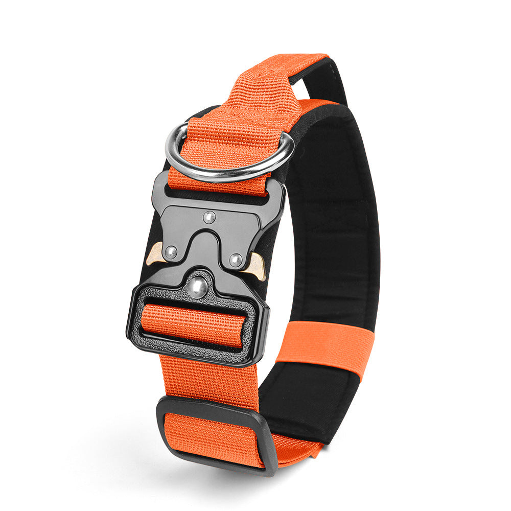 Pet Collar