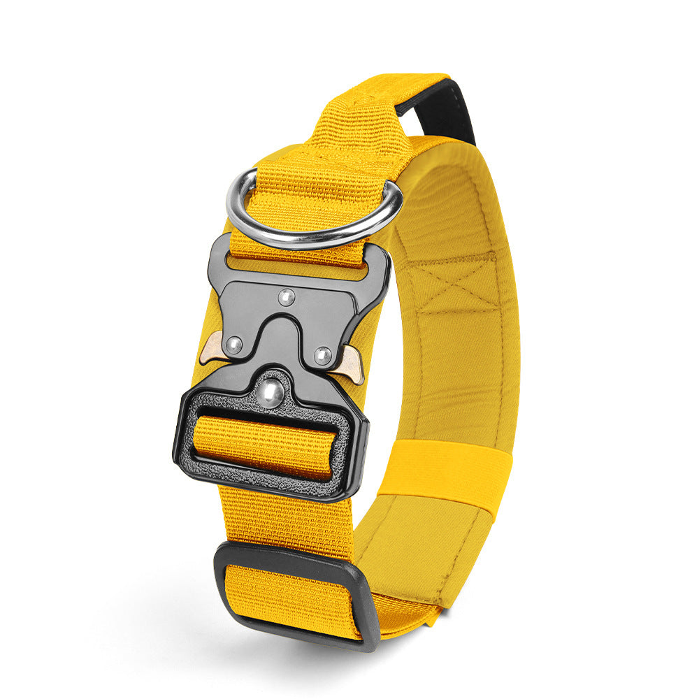 Pet Collar