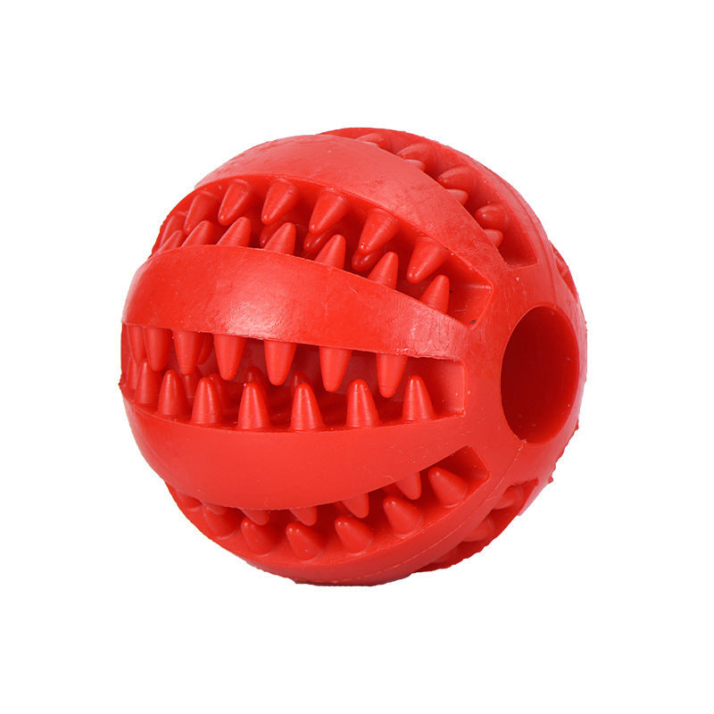 Pet Molar Elastic Ball