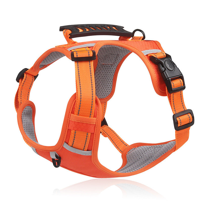 Dog Leash Vest