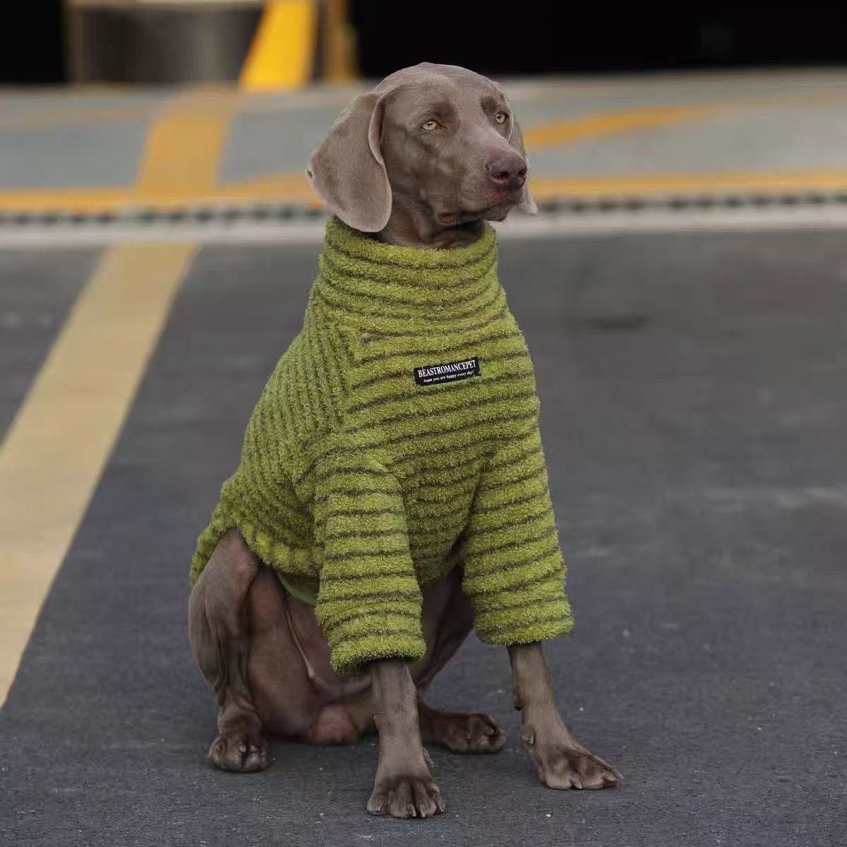 Pet Clothes