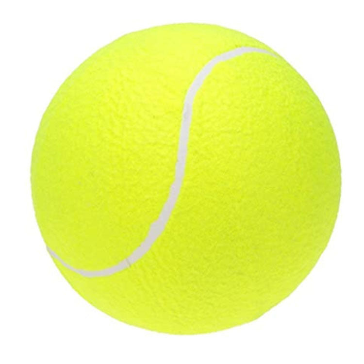 Pet Toy Ball