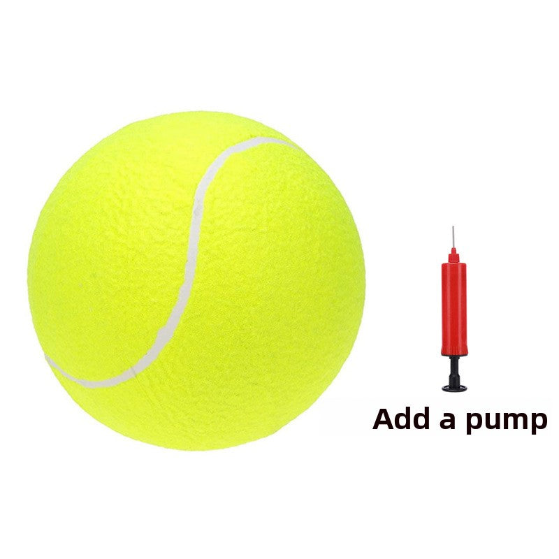 Pet Toy Ball