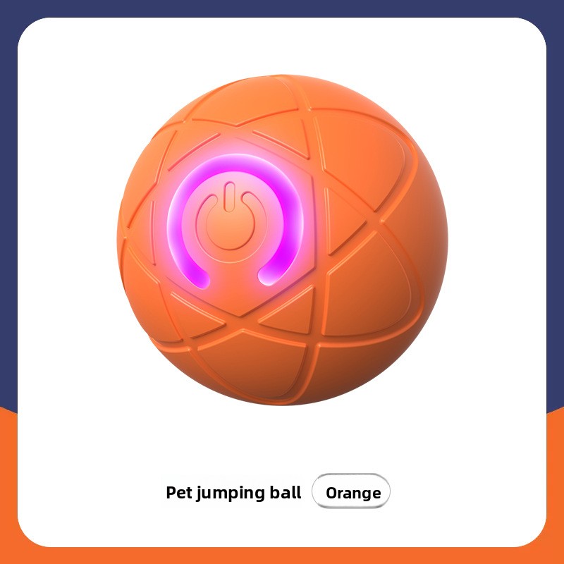 Pet Traction Ball