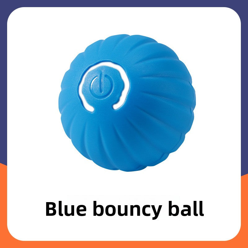 Pet Traction Ball
