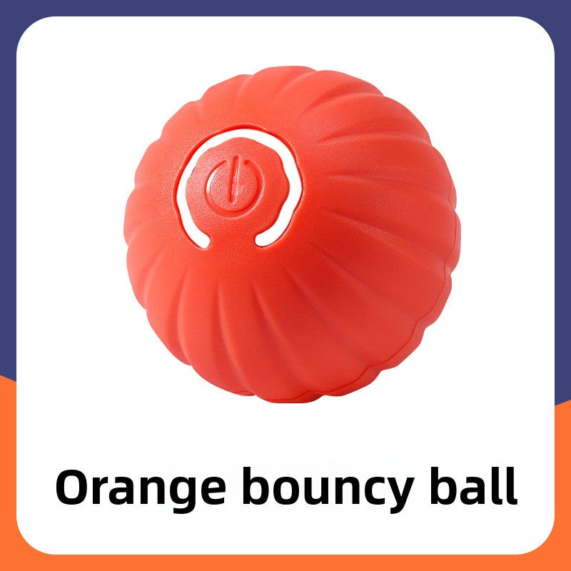 Pet Traction Ball
