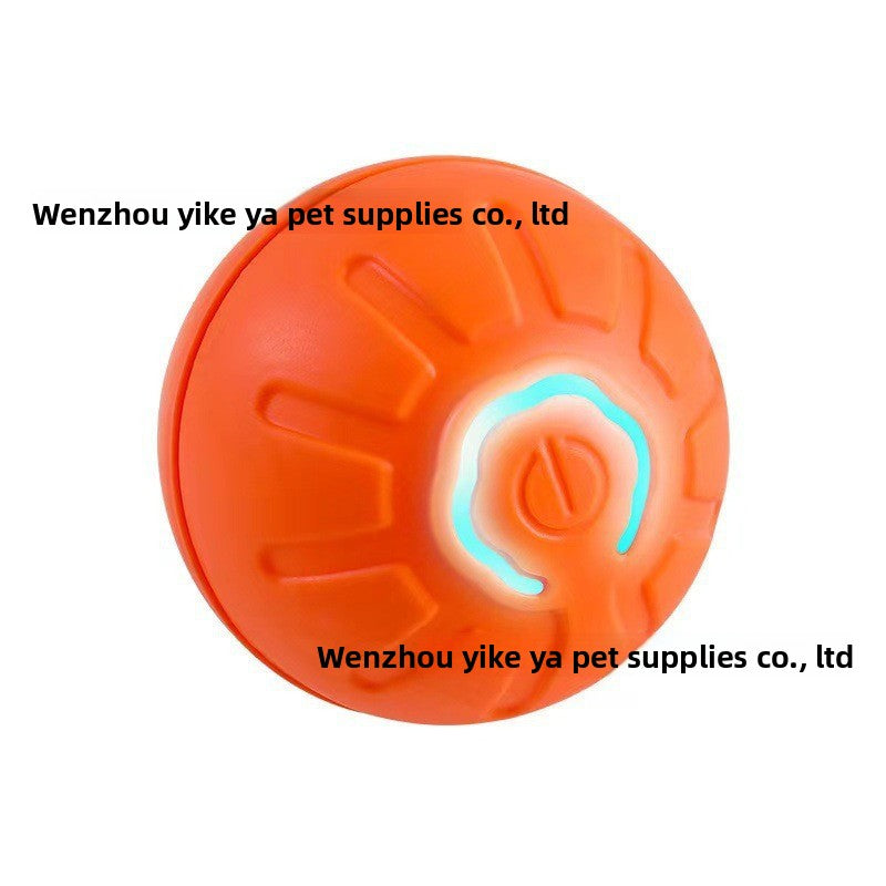 Pet Traction Ball