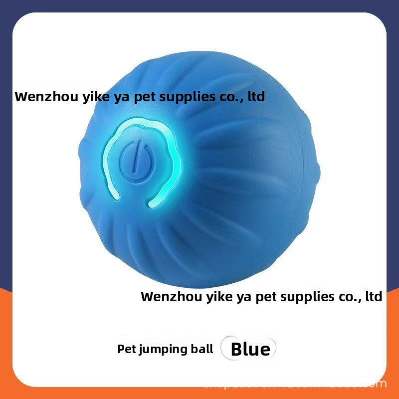Pet Traction Ball