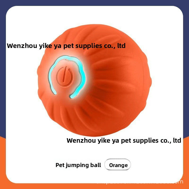 Pet Traction Ball